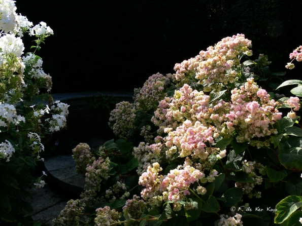 Bois des Moutiers  (52) Summer 2012